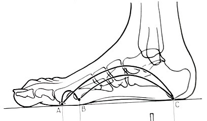 foot