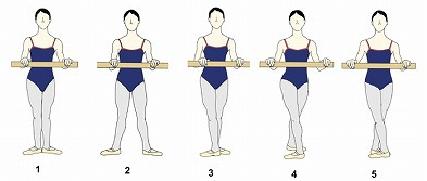 足のポジションが変わると、重心だけでなく、足首の角度も変わる。5番ポジションの時と1番ポジションの時が一緒なわけないのは、イラストを見たら分かるよね。そしてだから5番ポジション難しいんだよね。