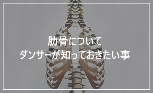 Read more about the article 肋骨についてダンサーが知っておきたい事