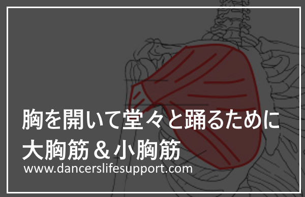 Read more about the article 胸を開いて堂々と踊るために：大胸筋＆小胸筋