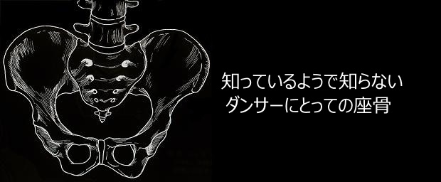 Read more about the article 知っているようで知らないダンサーにとっての座骨