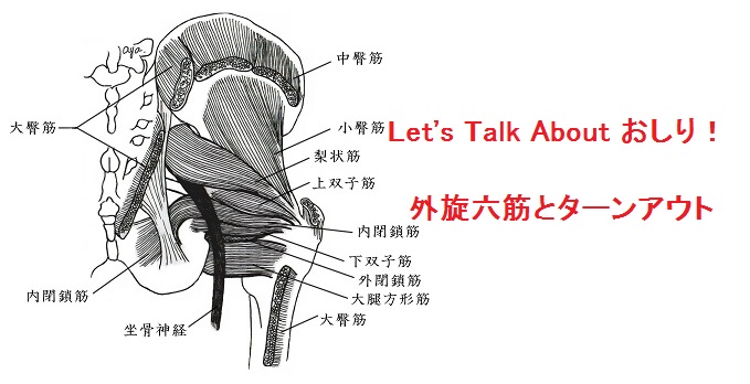 Read more about the article Let’s Talk Aboutおしり！　外旋六筋とターンアウト