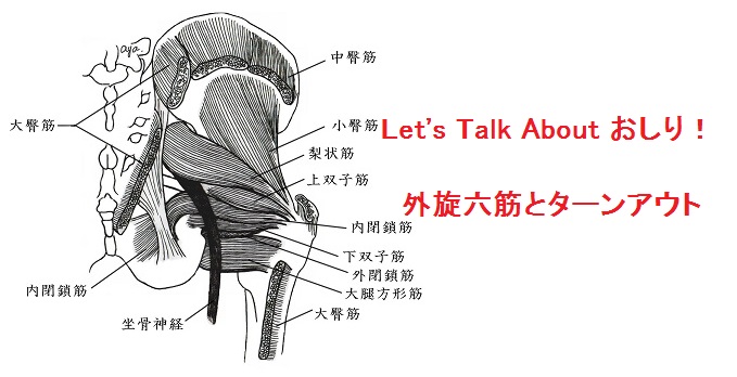 Read more about the article Let’s Talk Aboutおしり！　外旋六筋とターンアウト