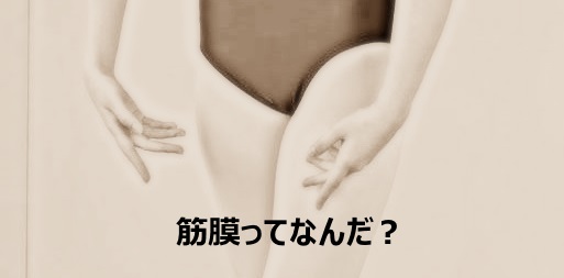 Read more about the article 筋膜ってなんだ？　