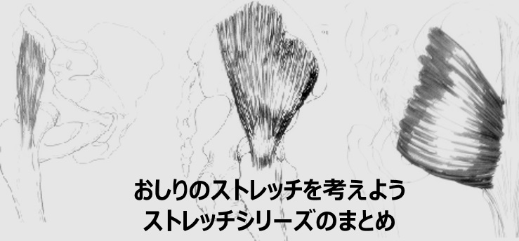 Read more about the article おしりのストレッチを考えよう　ストレッチシリーズのまとめ