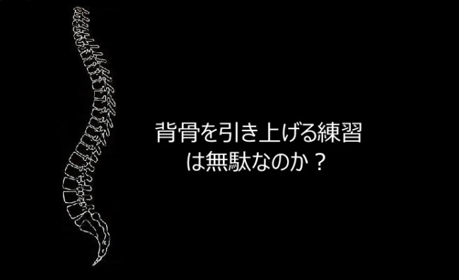 Read more about the article 背骨を引き上げる練習は無駄なのか？