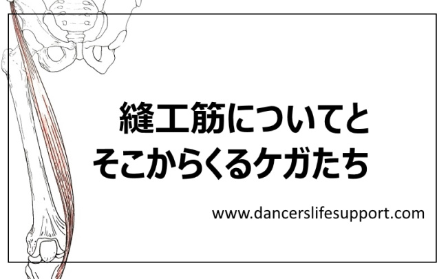 Read more about the article 縫工筋についてとそこからくるケガたち